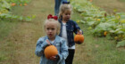Pick a Pumpkin