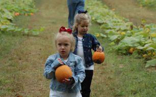 Pick a Pumpkin