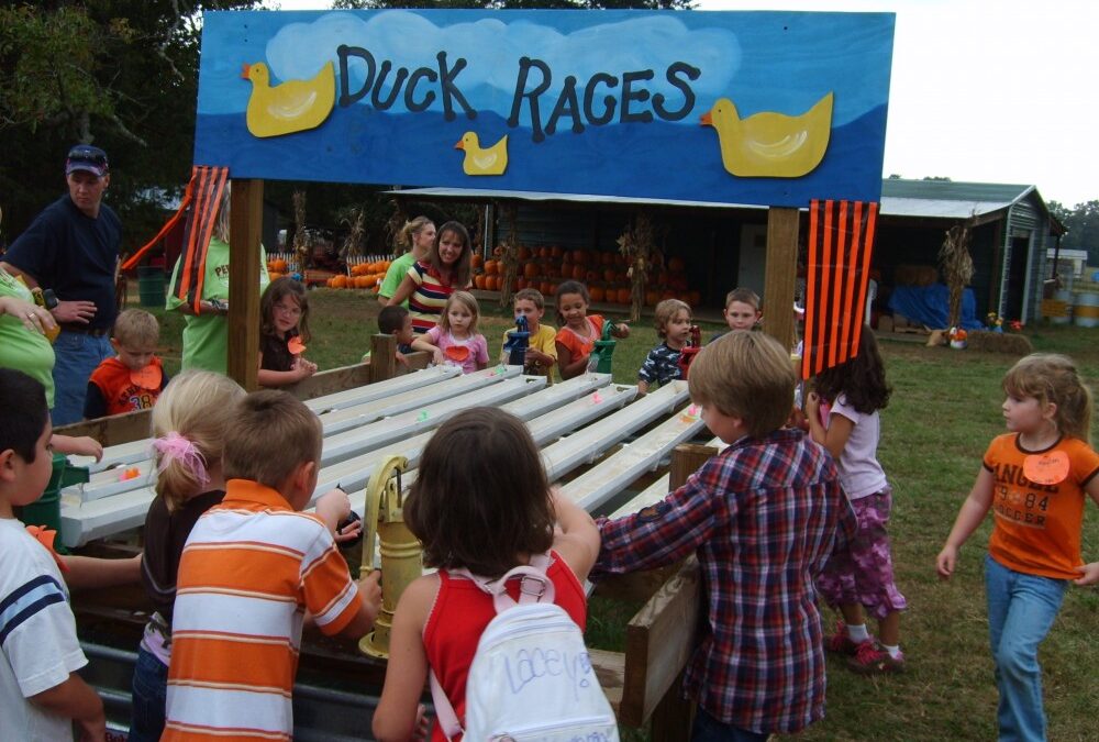 Compete at the Duck Races