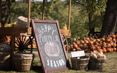 2022 Ultimate Guide to Finding The Perfect Pumpkin Patch Farm