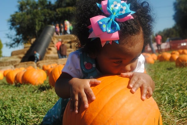 Fun Fall Activities With Toddlers
