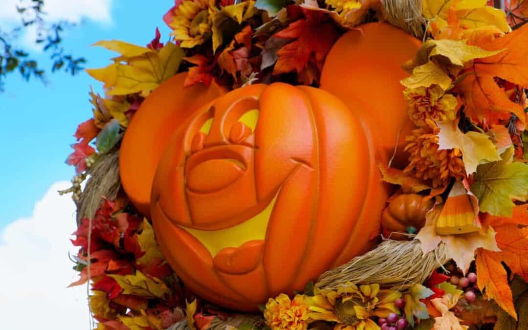 Best Pumpkin Patches in Arkansas for Families