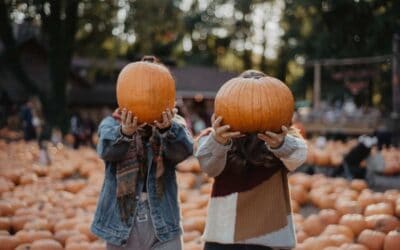 5 Must Visit Pumpkin Patches in Central Arkansas!