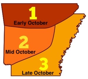 Fall Color Map Arkansas