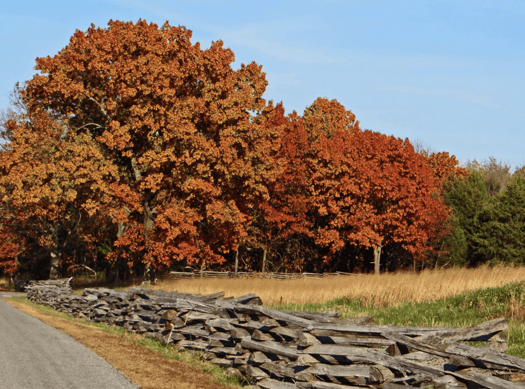 Pea Ridge National Military Park in the Fall