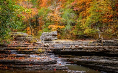 Discover Arkansas in the Fall: From Hiking to Pumpkin Picking