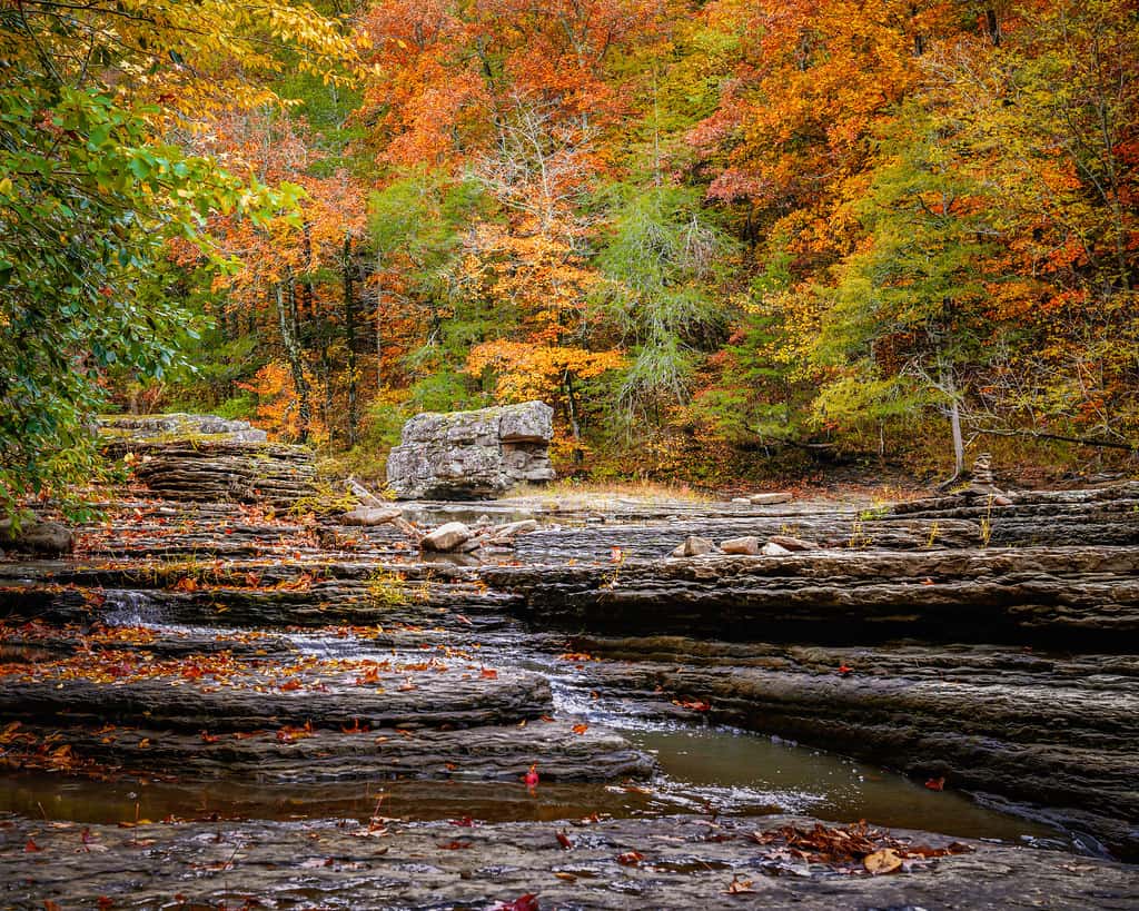 Pumpkin Patches In Arkansas | Fall Family Fun
