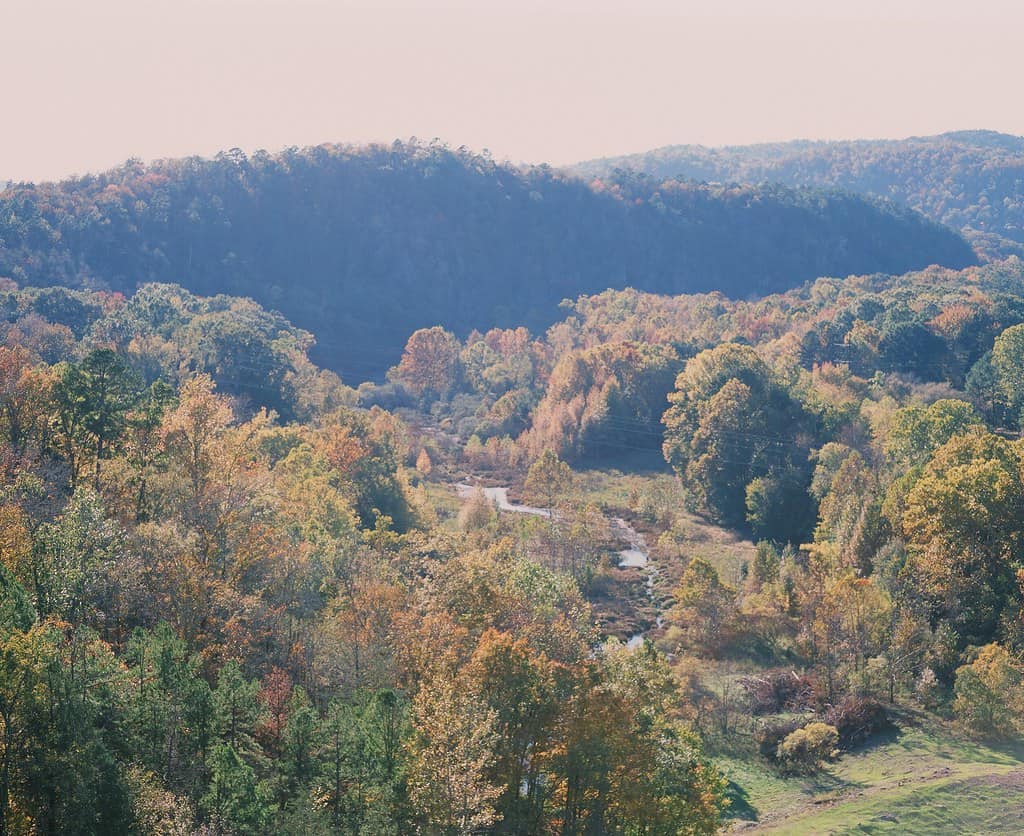 Explore the Best Fall Foliage in Arkansas at Ouachita State Park