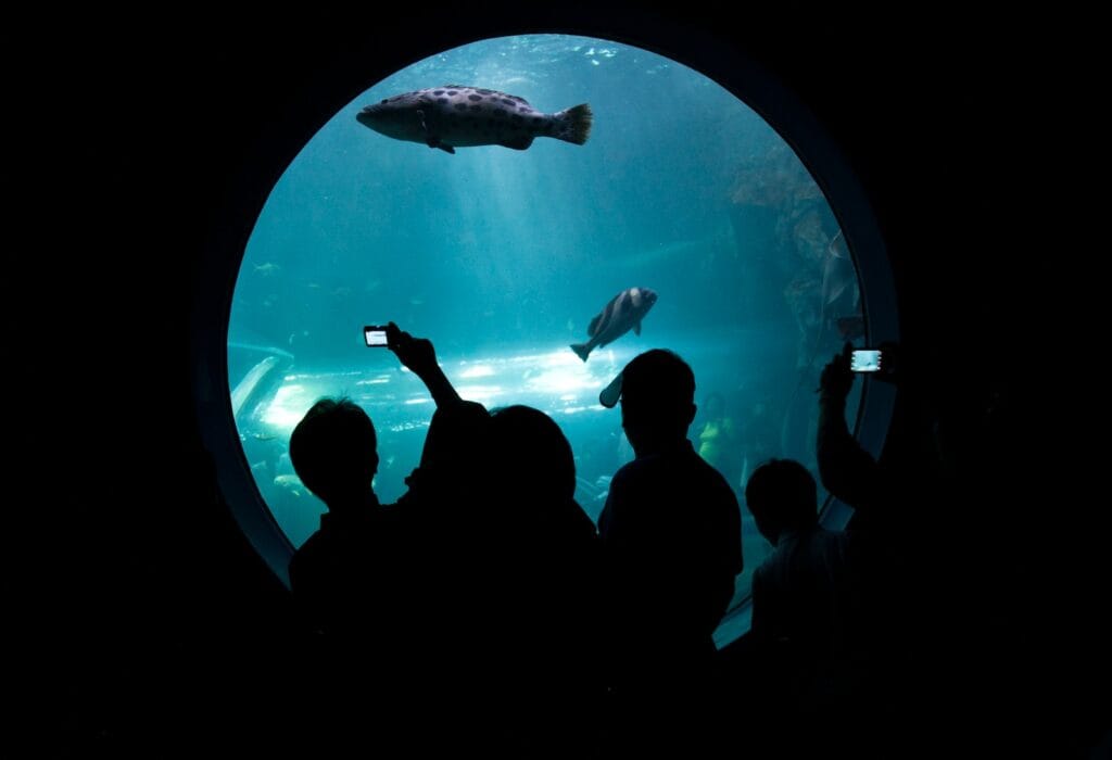 field trip for elementary students at the aquarium