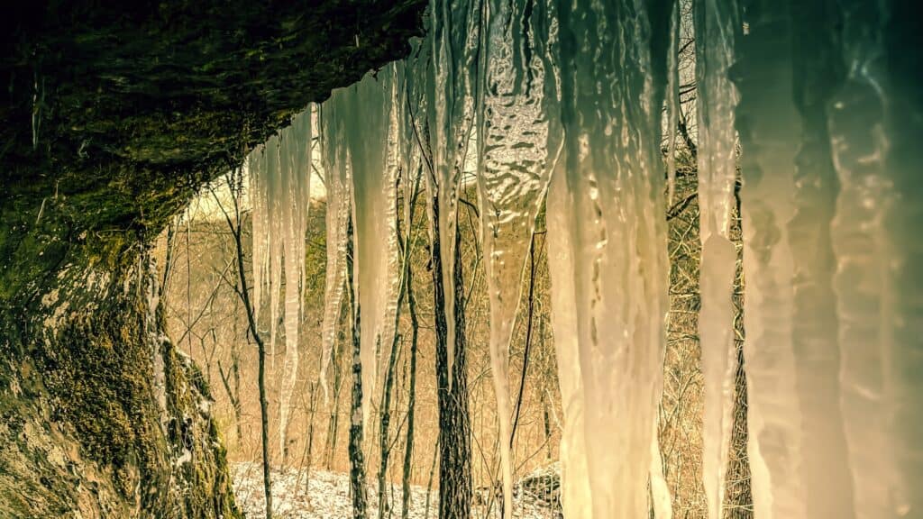 a forest filled with lots of ice covered trees