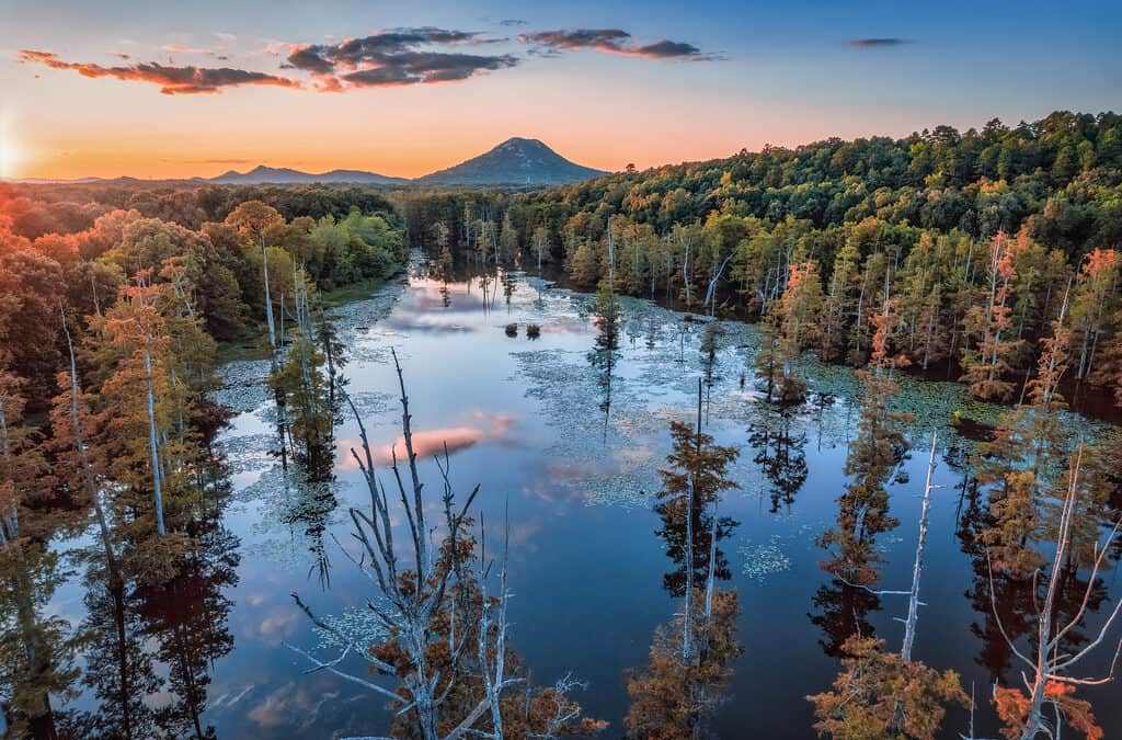 Ultimate Guide to the Great Places to Visit in Arkansas for Every Traveler