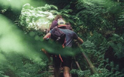 10 Breathtaking Trails for Northwest Arkansas Hiking Adventures