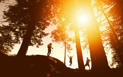 Northwest Arkansas Hiking Trails: Scenic Routes for Every Skill Level