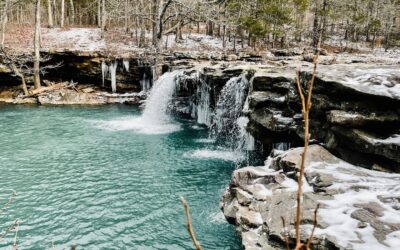 RV Parks in Springdale, Arkansas: Convenient Stays for Your Northwest Arkansas Adventure