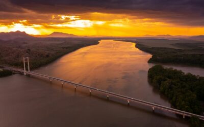 Arkansas Buffalo National River Paddling: Ultimate Trail Guide from Calm to Challenging