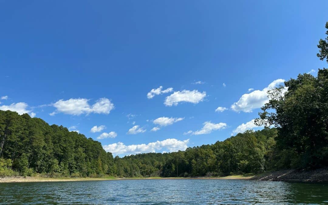 Arkansas travel agencies