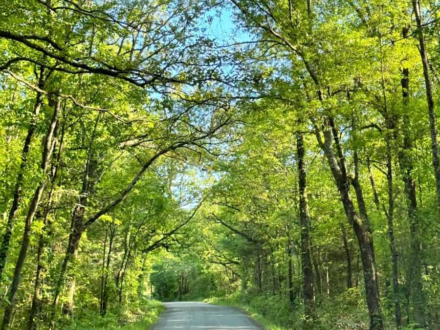 family vacation spots in Arkansas