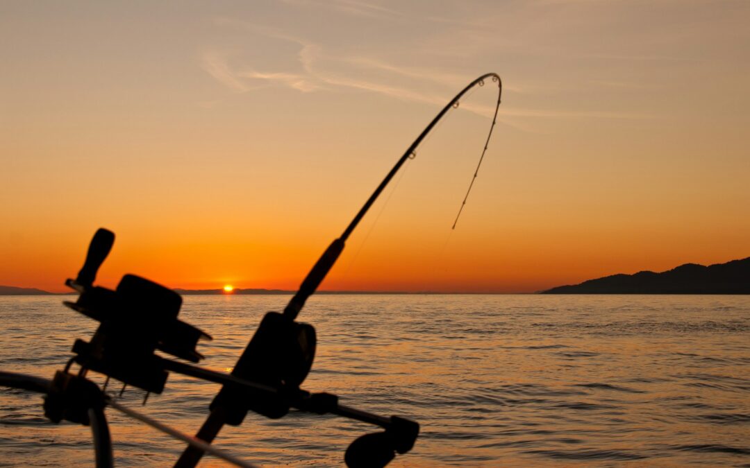 fishing spots in Northwest Arkansas