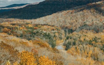 Vacation in Arkansas Ideas: Inspiring Stops from Ozark Peaks to Delta Vibes