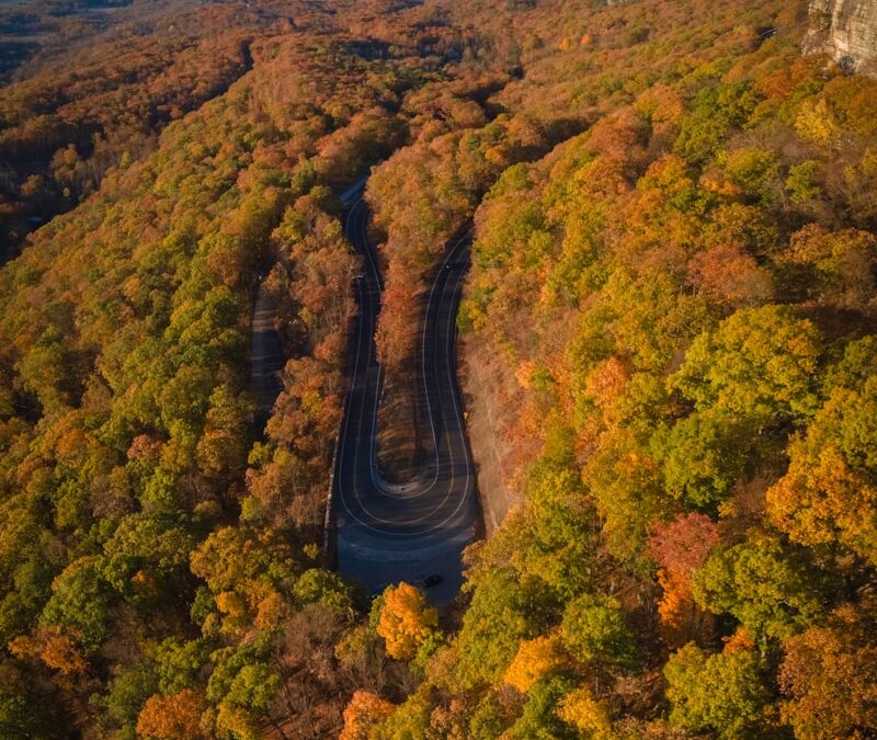 Arkansas by season