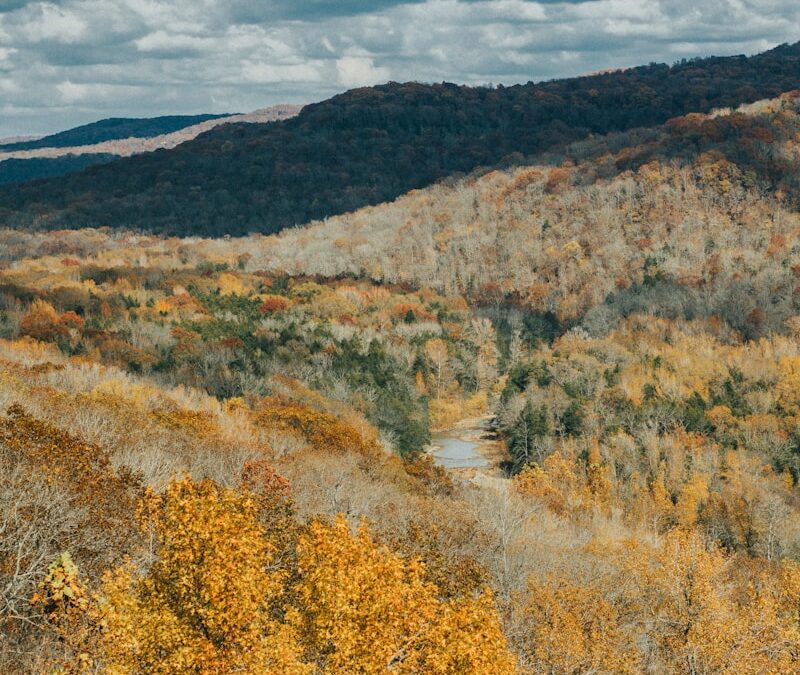 Arkansas state parks for families