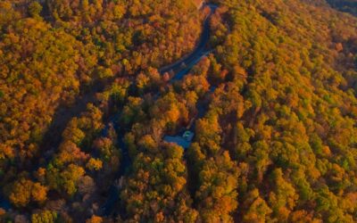Top 5 Post-Thanksgiving Hikes in Arkansas