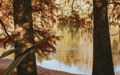 Arkansas Camping in November: Lovely Foliage and Cozy Stays