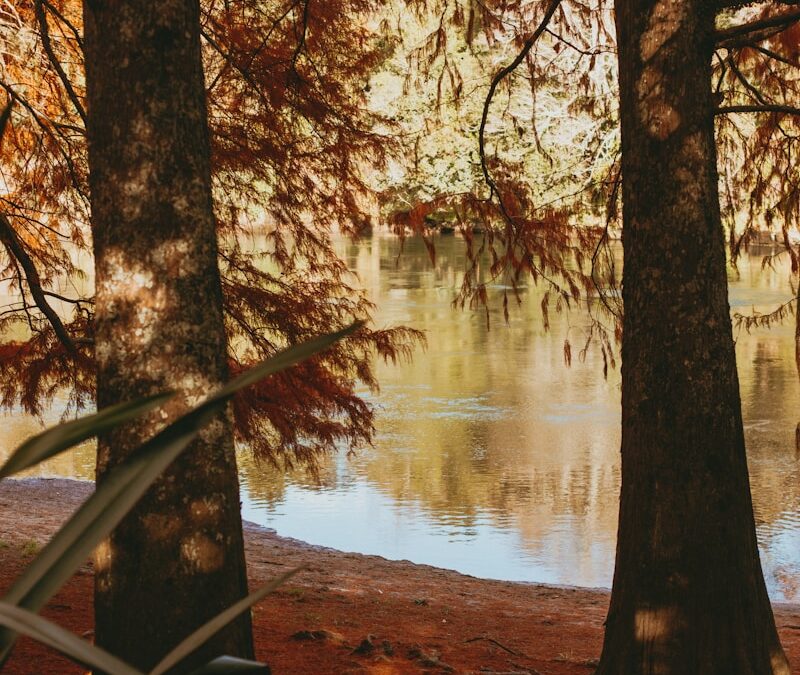 Arkansas camping in November