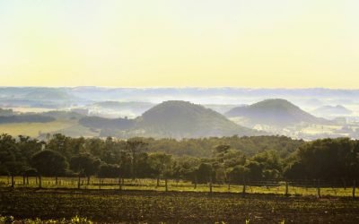 Your Guide to an Arkansas Winery Tour: 5 Beautiful Wineries with a View