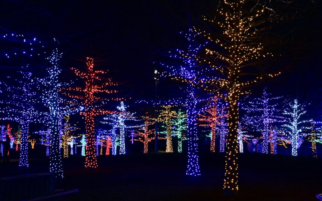 best Christmas light displays in Arkansas