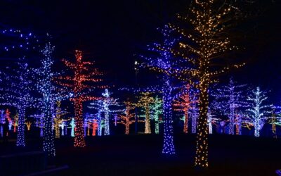 Best Christmas Light Displays in Arkansas: Holiday Magic in Nature
