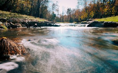 Best 5 Things to Do in Heber Springs, AR