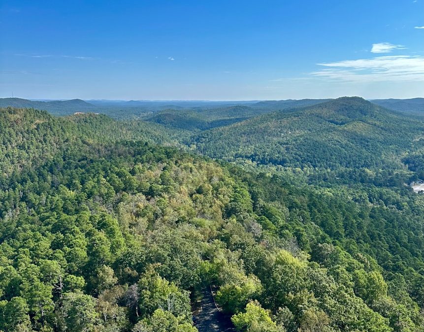 best forests in Arkansas