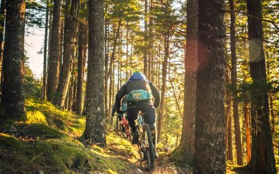 Best Routes for Bikepacking in Arkansas