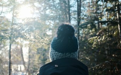 6 Best Places to Go Hiking in Arkansas in January