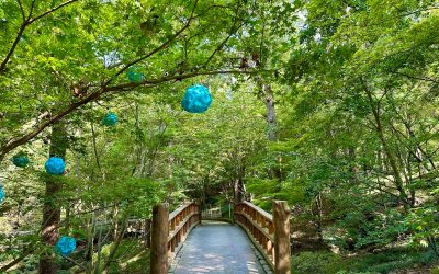 How to Enjoy January in Hot Springs, Arkansas