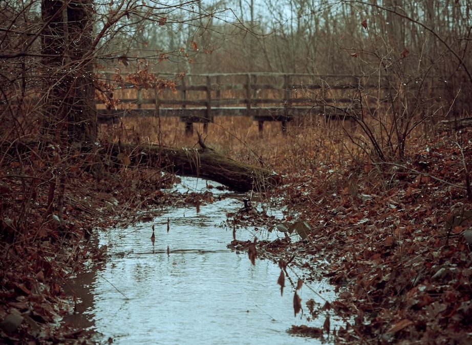 best Arkansas creeks