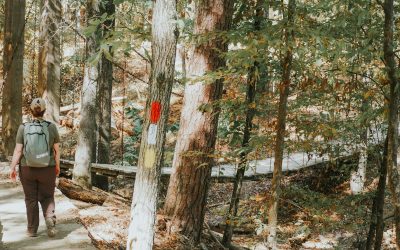 The Best Tips for Hiking in Arkansas for the First Time