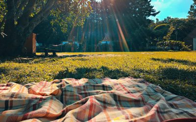 Best Places To Have A Park Picnic in Arkansas