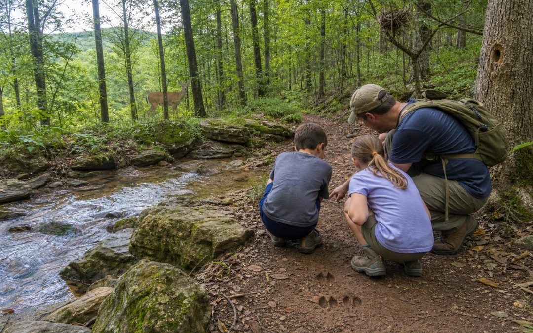 Arkansas Wildlife Kids Can Learn to Identify
