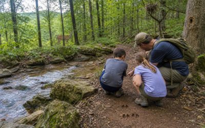 Arkansas Wildlife Kids Can Learn to Identify