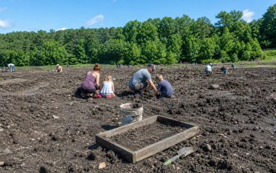 Best Arkansas State Parks for Educational Family Adventures