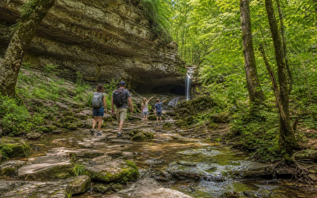 Best Family-Friendly Hiking Trails in Arkansas